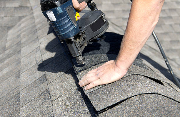 Best Metal Roofing Installation  in Chatfield, MN